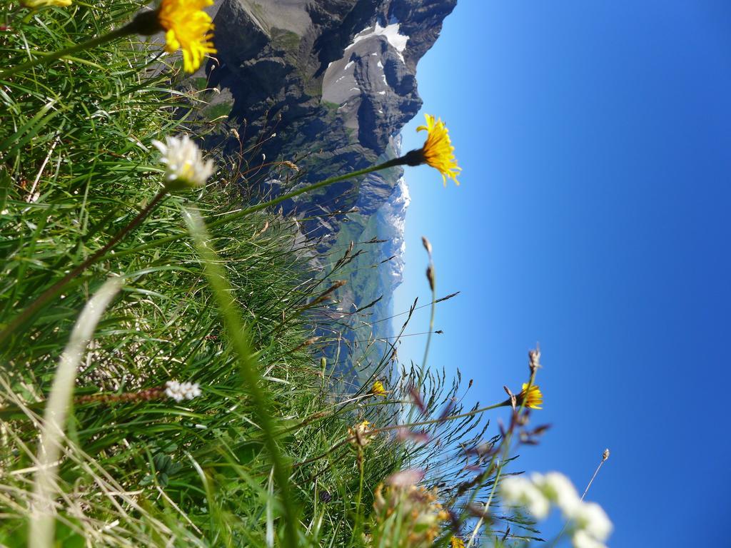 Hami Villa Adelboden Szoba fotó