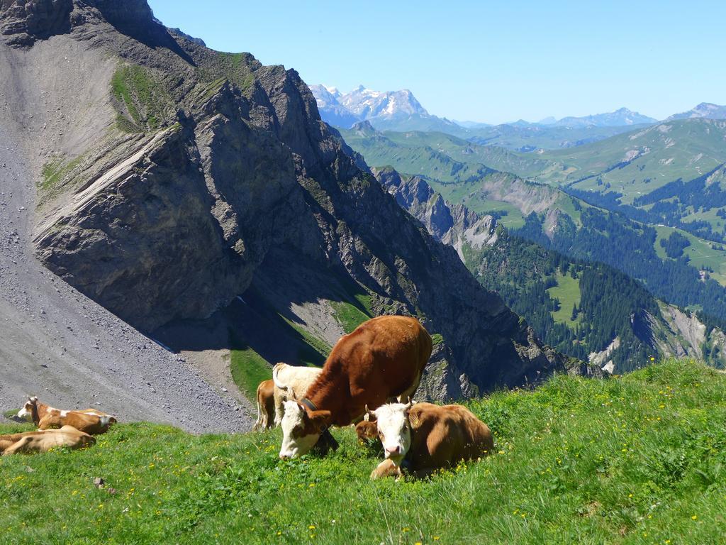 Hami Villa Adelboden Szoba fotó
